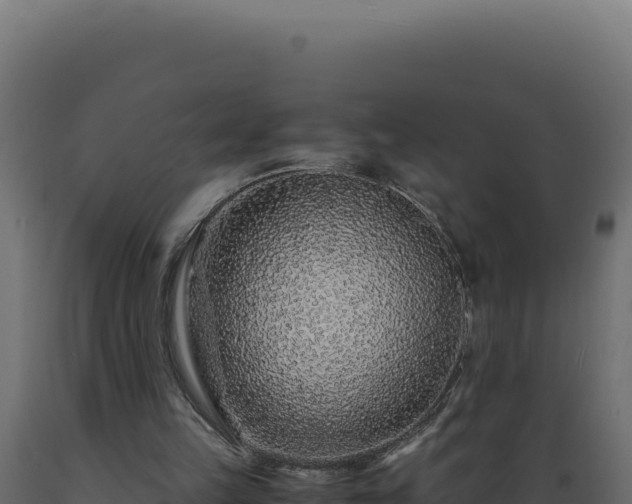 X0000089950149200707061127