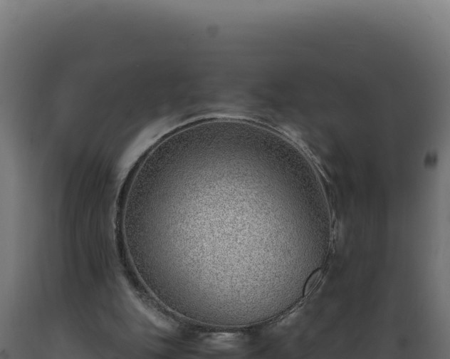X0000089950151200707061127