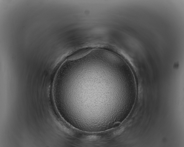 X0000089950153200707061127