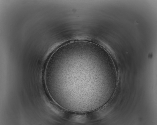 X0000089950155200707061127