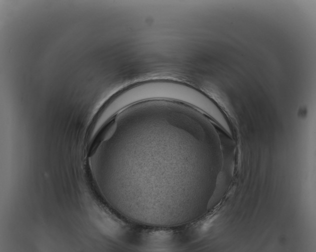 X0000089950156200707061127