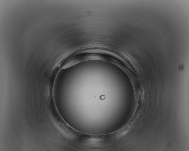 X0000089950158200707061127