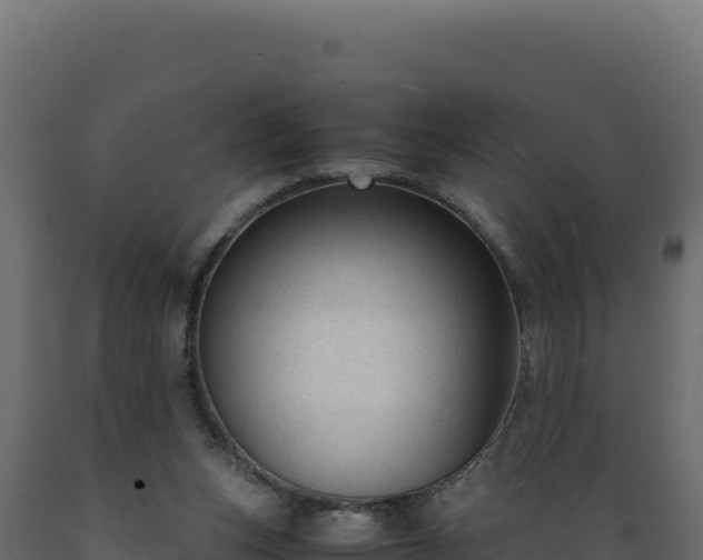 X0000089950159200707061127
