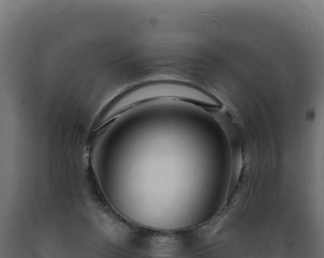 X0000089950160200707061127