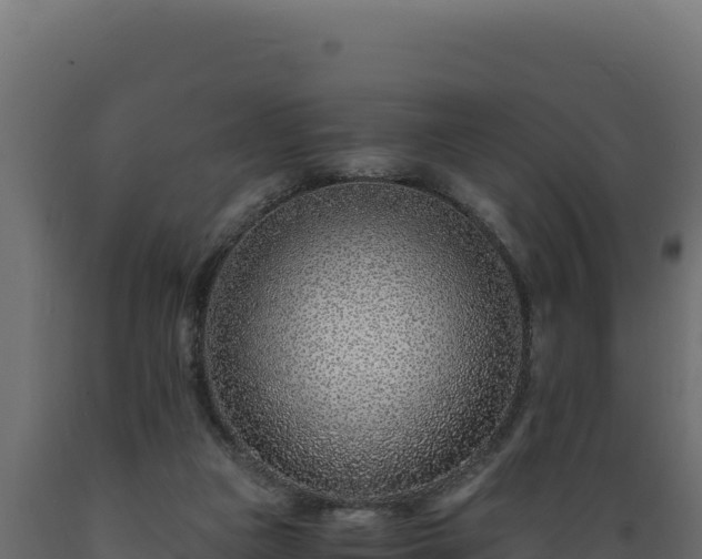 X0000089950161200707061127