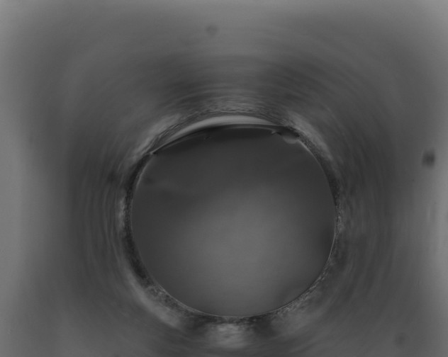X0000089950163200707061127