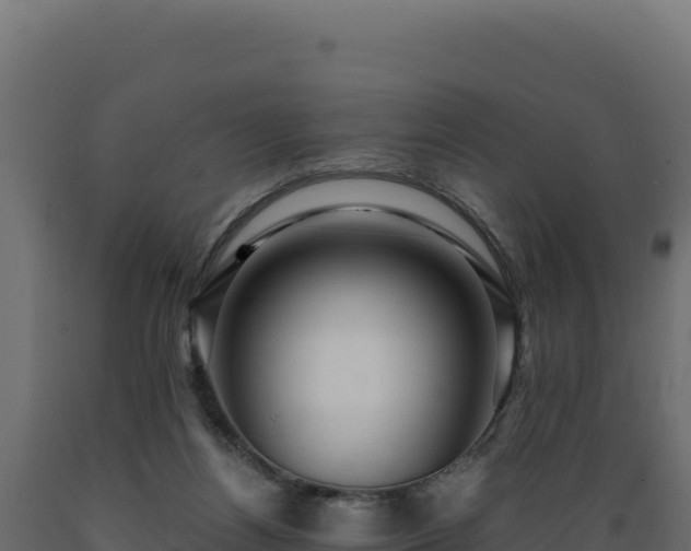X0000089950164200707061127
