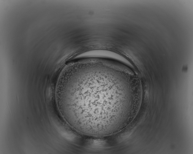 X0000089950165200707061127