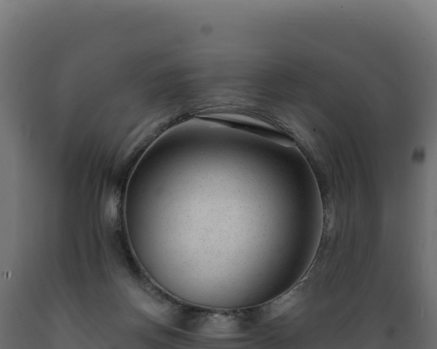 X0000089950166200707061127