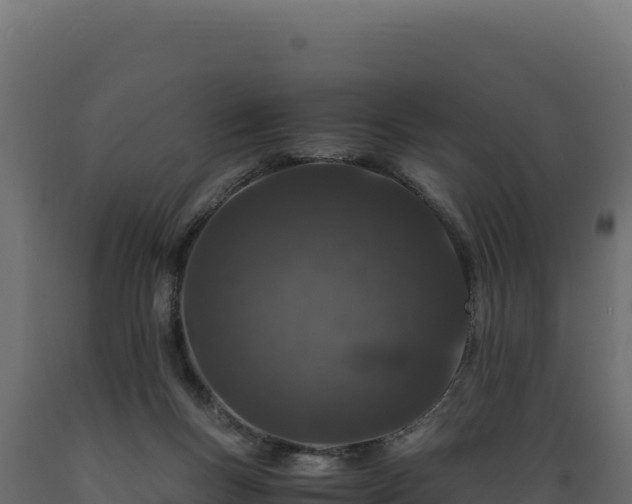 X0000089950167200707061127