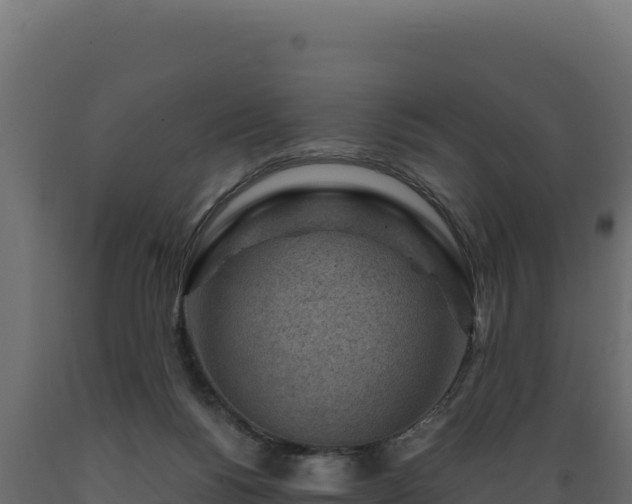 X0000089950168200707061127