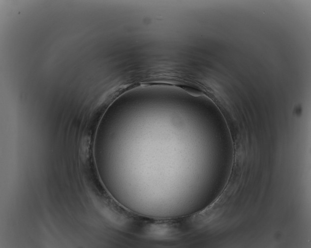 X0000089950171200707061127