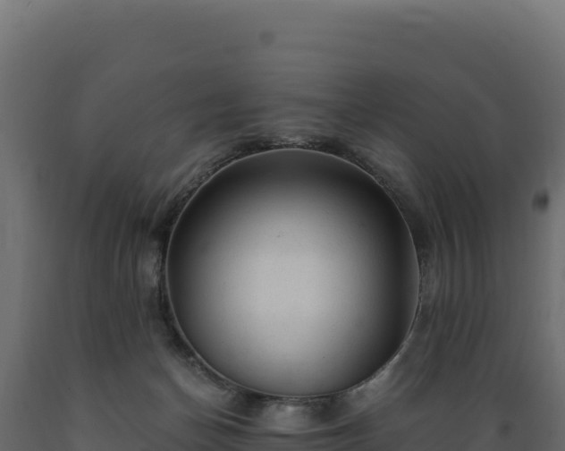 X0000089950174200707061127