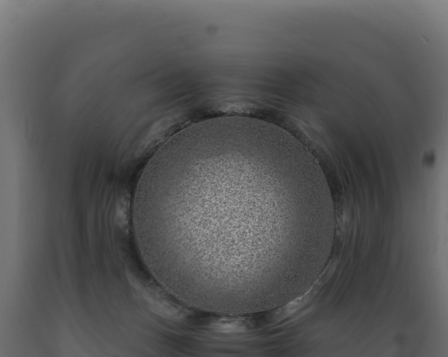 X0000089950175200707061127