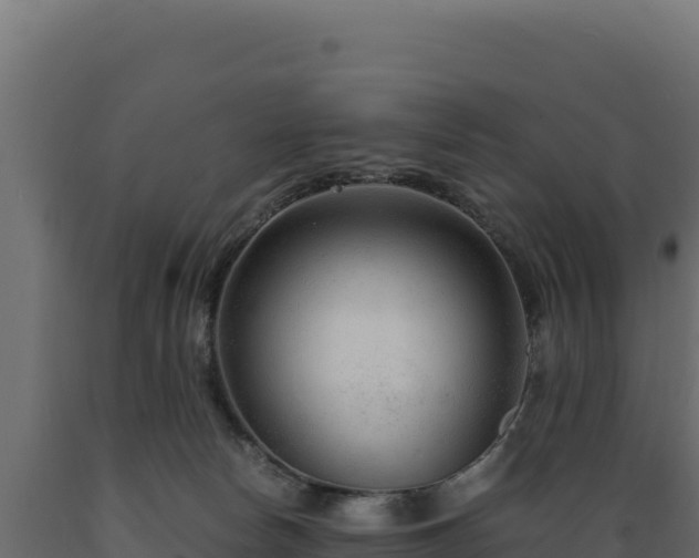 X0000089950178200707061127