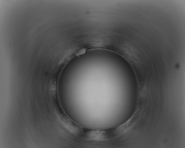 X0000089950179200707061127