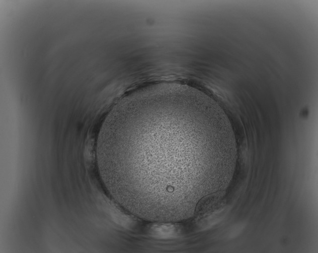 X0000089950181200707061127