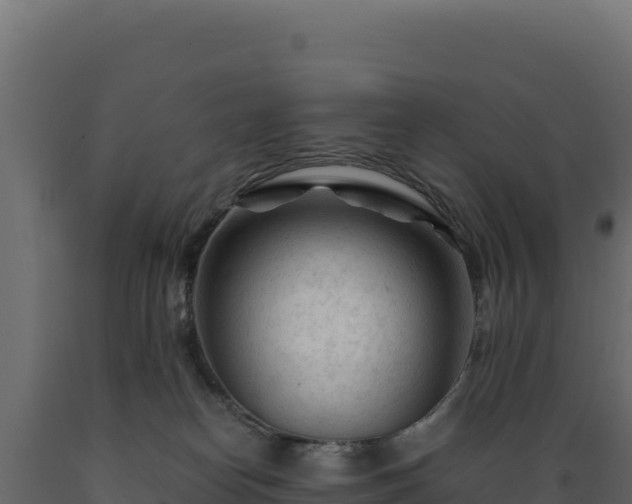 X0000089950182200707061127