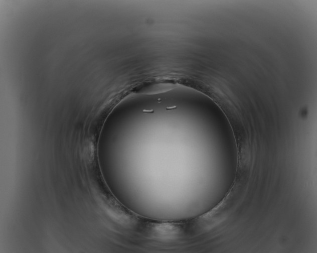 X0000089950183200707061127