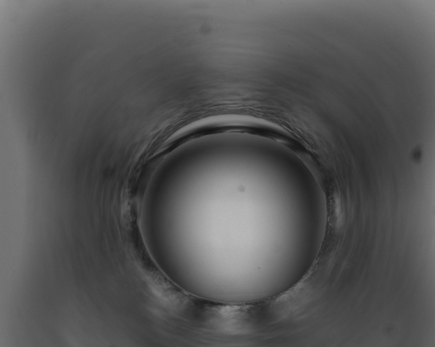 X0000089950184200707061127