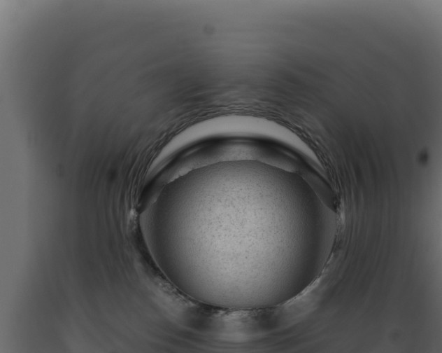 X0000089950186200707061127