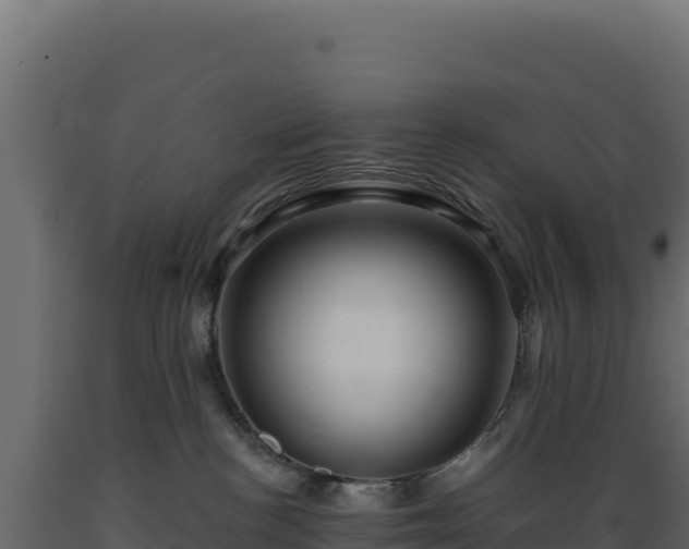 X0000089950188200707061128
