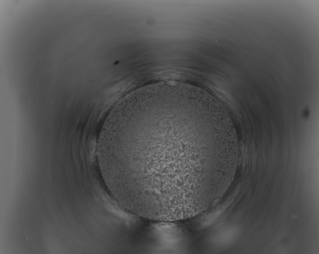 X0000089950189200707061128