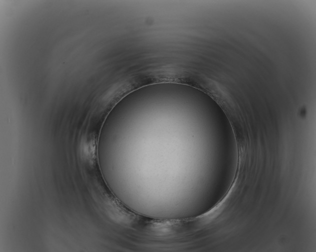 X0000089950190200707061128