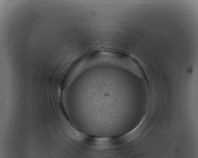 X0000089950192200707061128