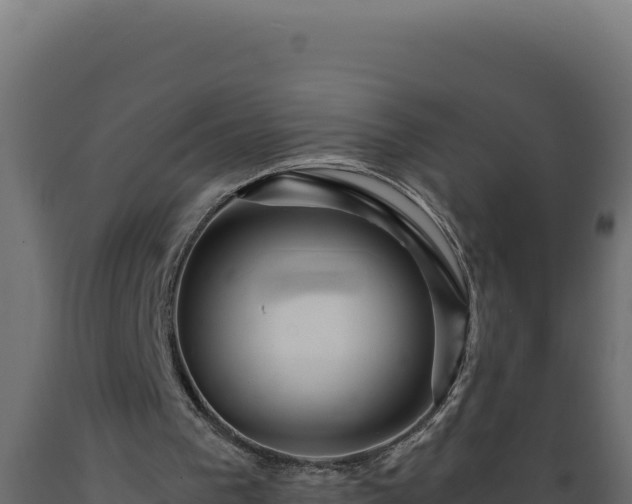 X0000089950193200707061127