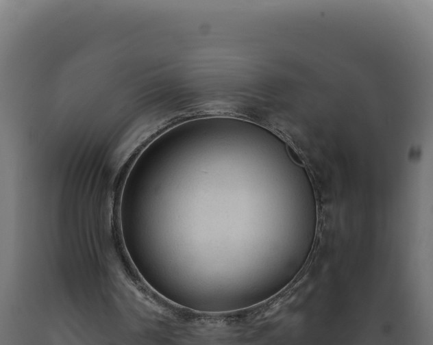 X0000089950194200707061127