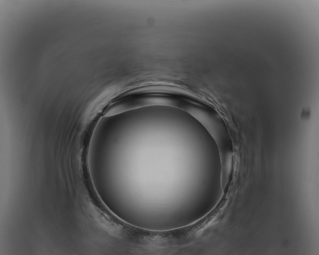 X0000089950197200707061127