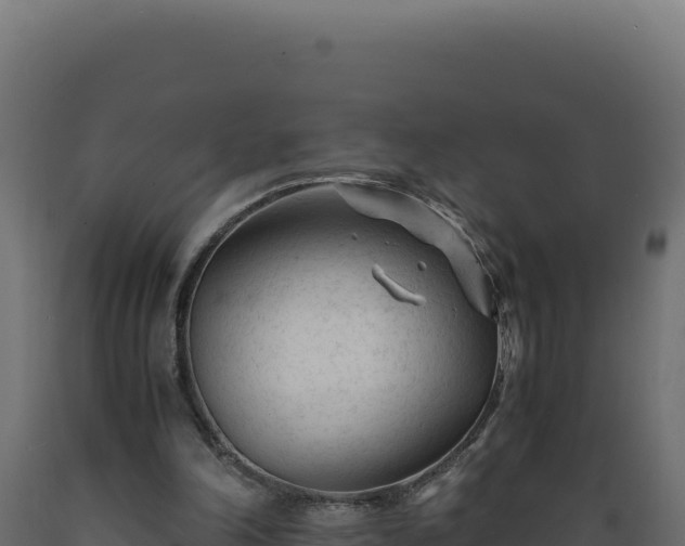 X0000089950198200707061127