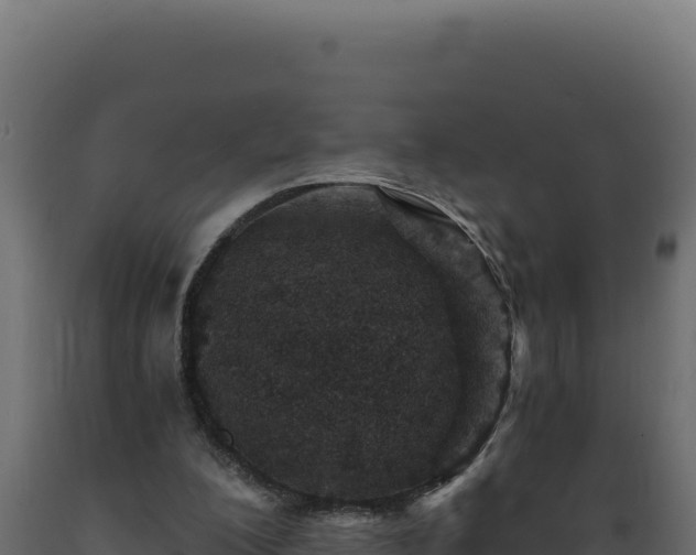 X0000089950200200707061127