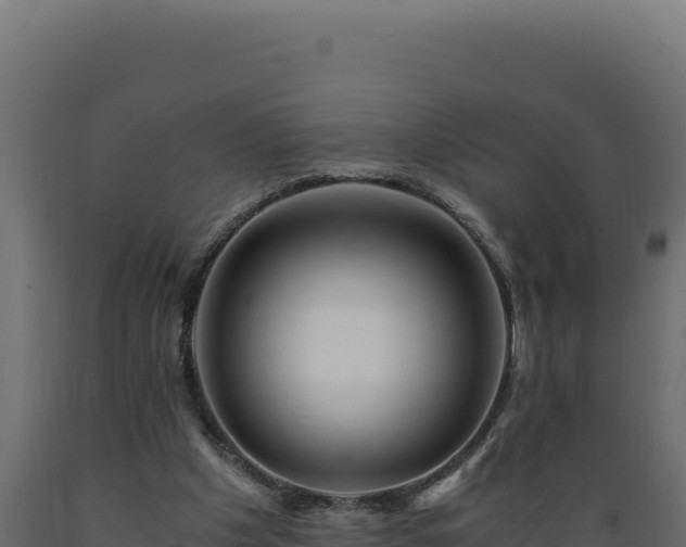 X0000089950201200707061127