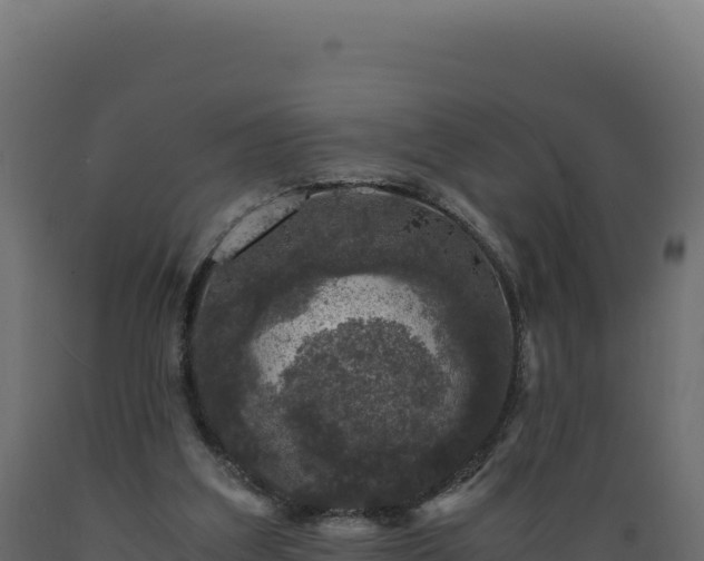 X0000089950203200707061127