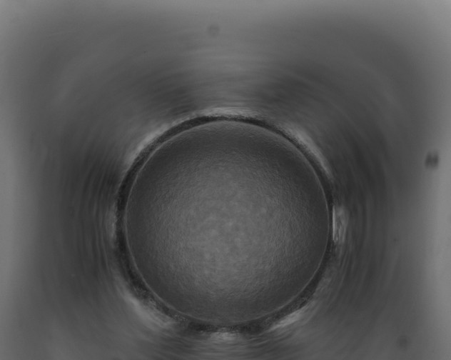 X0000089950204200707061127