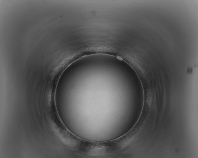 X0000089950206200707061127