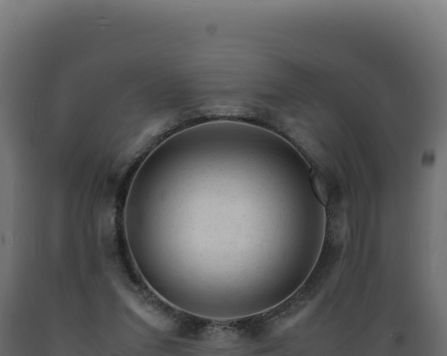 X0000089950207200707061127