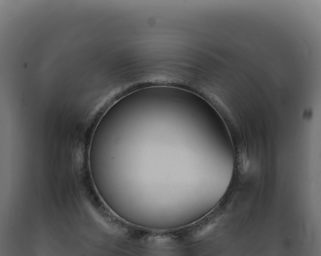 X0000089950208200707061127
