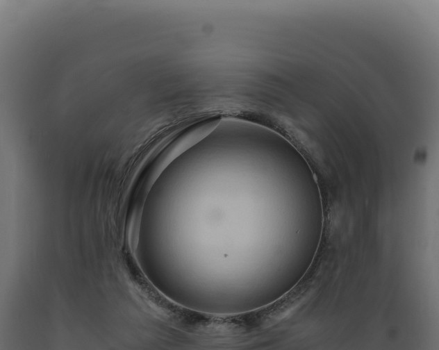 X0000089950209200707061127
