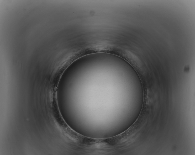 X0000089950210200707061127