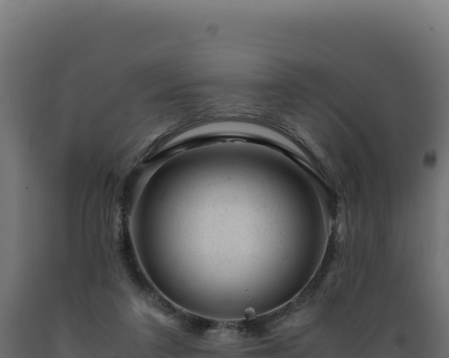 X0000089950211200707061127
