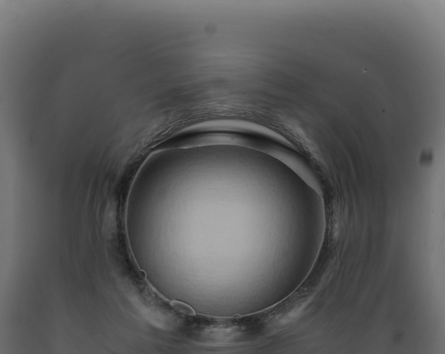 X0000089950213200707061127