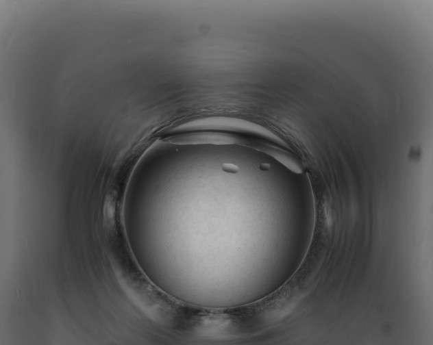 X0000089950214200707061127