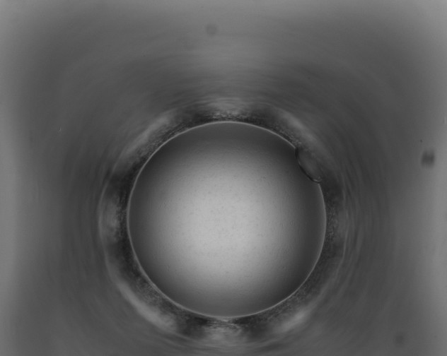 X0000089950215200707061127