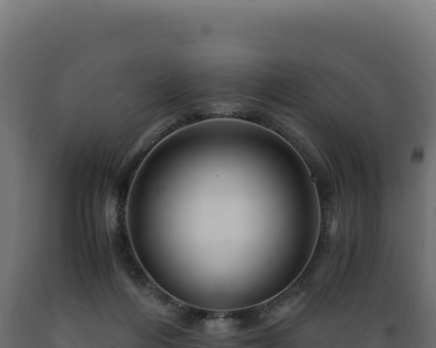 X0000089950216200707061127