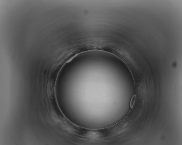 X0000089950218200707061127