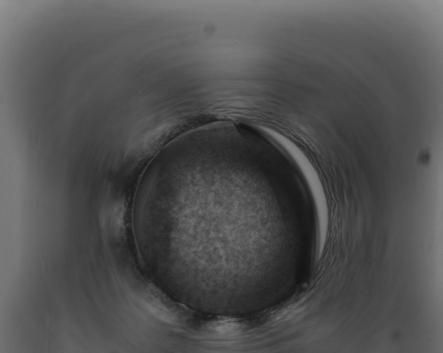 X0000089950219200707061127