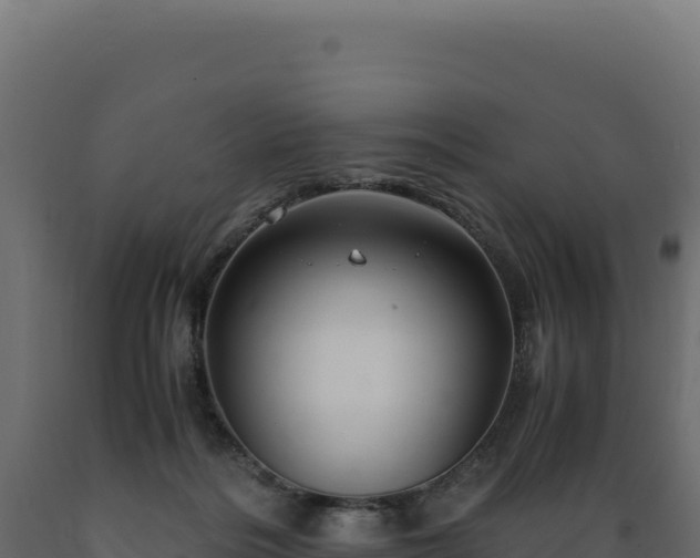 X0000089950220200707061127